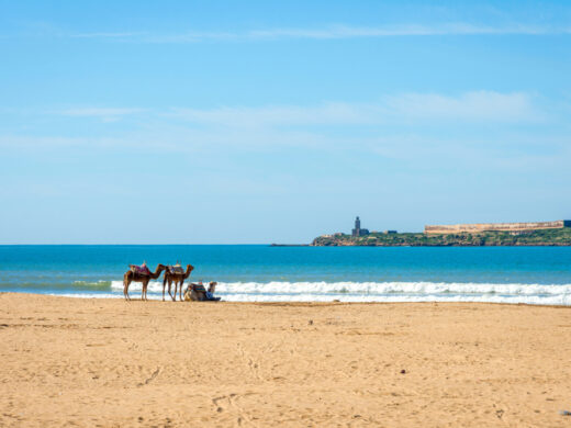 essaouira-palaya