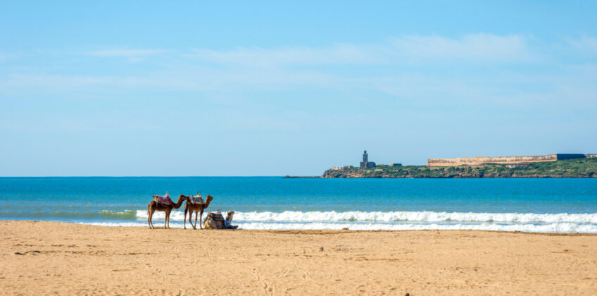 essaouira-palaya